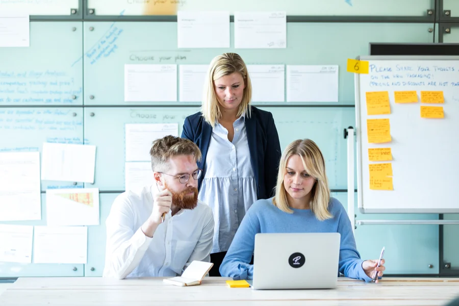 Staffing Business Plan Example